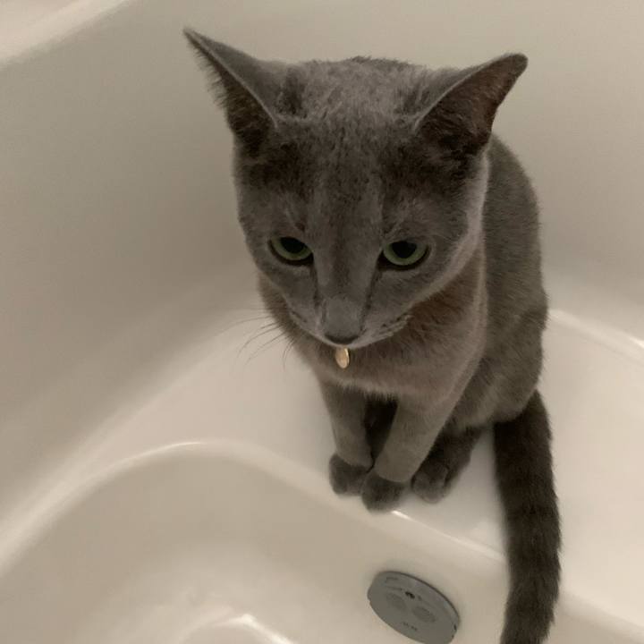 Ab358670 b964 4b8d 8103 51ace3431e56 1660083020397