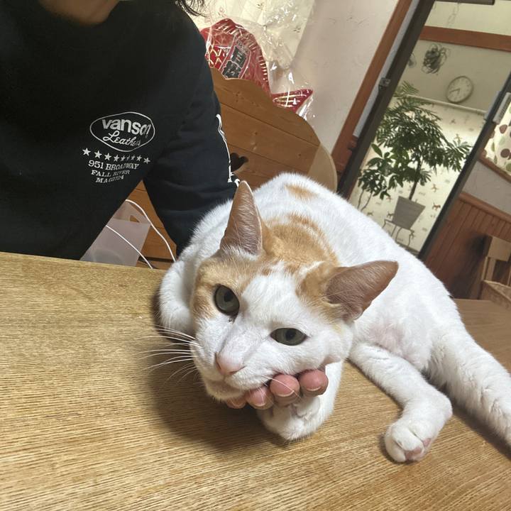 Ab35b77d ceaf 48e6 a17b dd6364c1f4c3 1691918364595