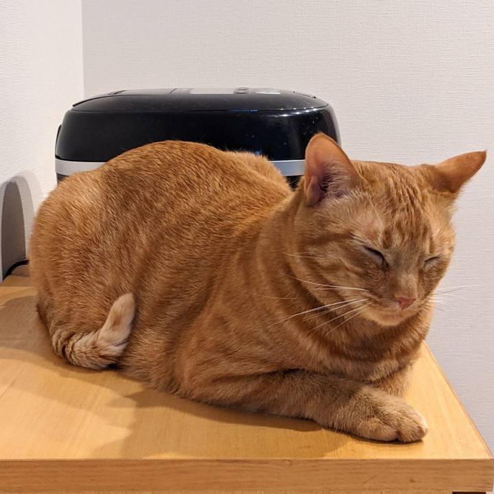 Ab3607a7 de96 4aec af9e 8fdcb57560d8 1619689513105