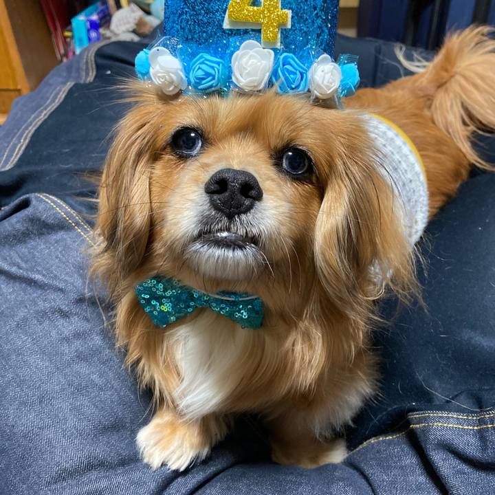 Ab361d5a 4482 44d2 947a a9c4aca76b47 1614352585618