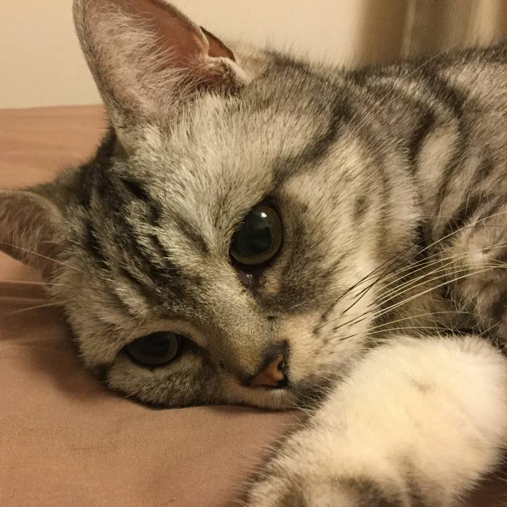 Ab3673da 1f74 47b3 9940 ea00377411d0 1566187784395