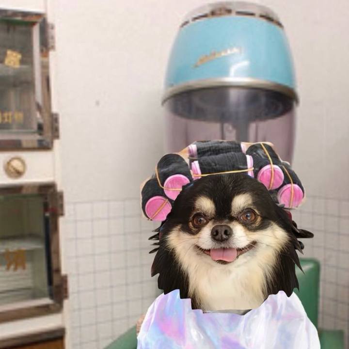 Ab369868 9387 4fca a42e 1ccc378ffabd 1766411867817