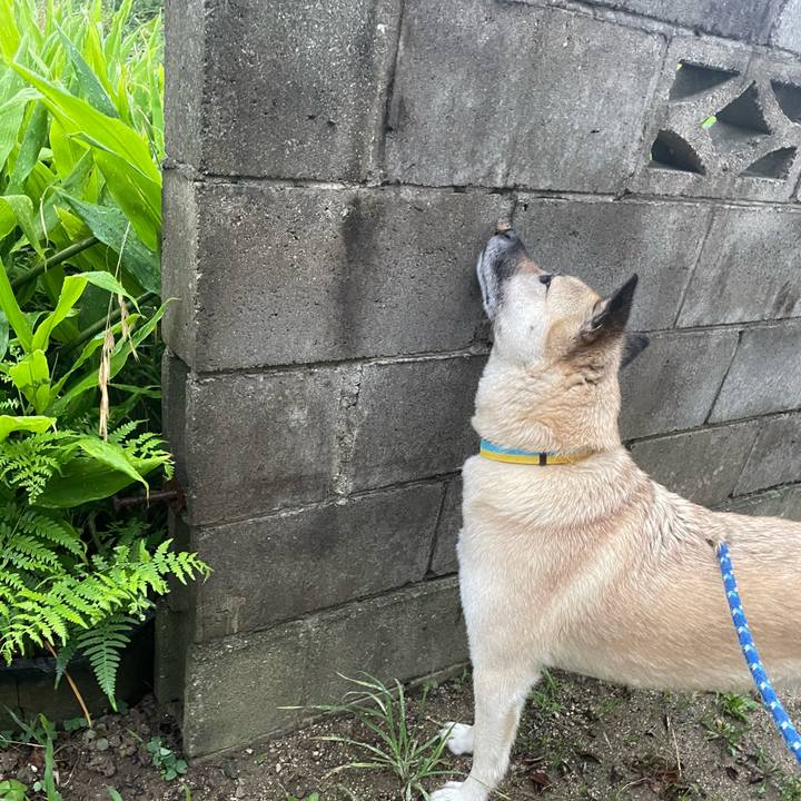 Ab36a8f3 2be2 420a b24d 905848fa5882 1655814763072