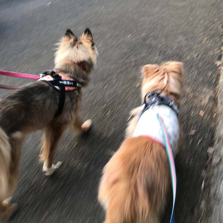 Ab36ce99 9364 45a3 856e de3f30c1a2a4 1645529915018