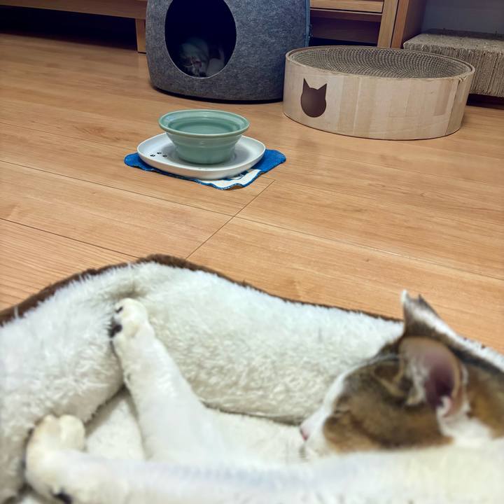 Ab36db53 1f65 48d0 a041 34c19132f01d 1763198229889