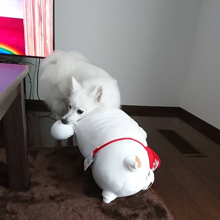 Ab37138a a455 4e49 bc8e 7af74cff48a9 1526617178061