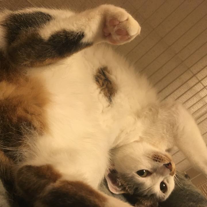 Ab37181e 5865 4a0b a14b 9d91f020473b 1514698002747