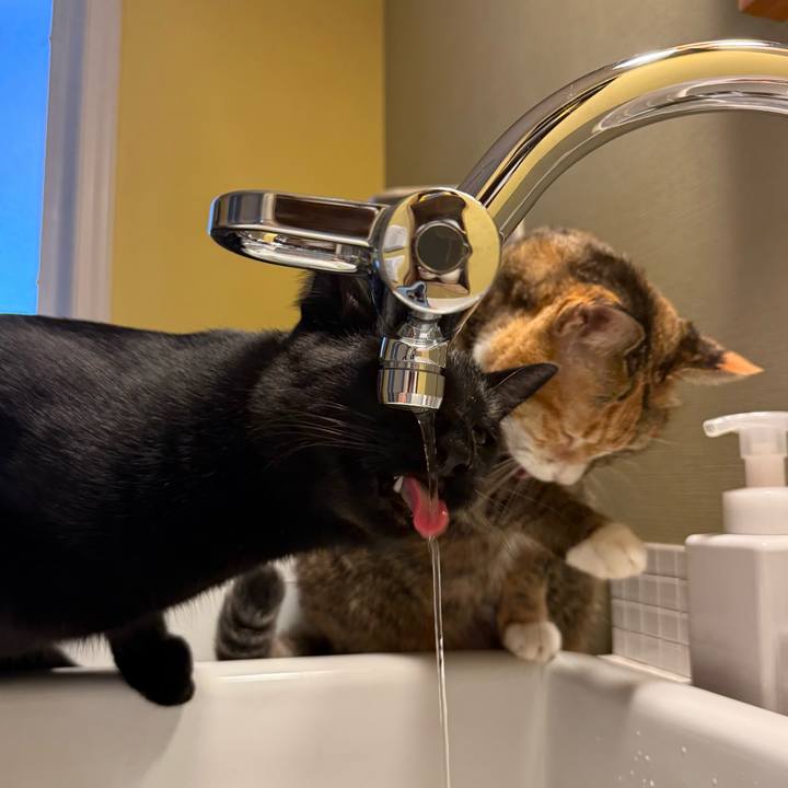 Ab374cc7 9aa6 4550 a460 a4d99181a141 1766187670236