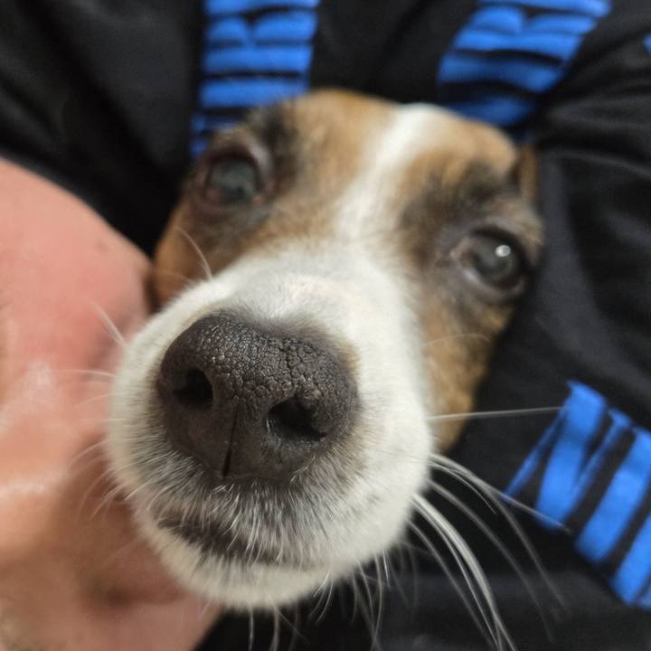 Ab377063 fd63 4065 af5b 36af595bb6c1 1773408369791