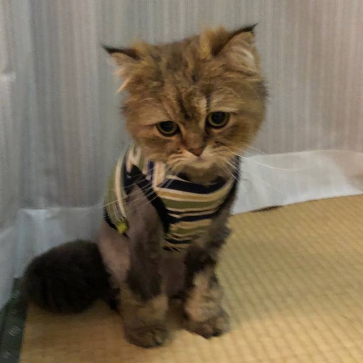 Ab37dac2 498a 47f4 9941 b68e63b5e159 1588633905579