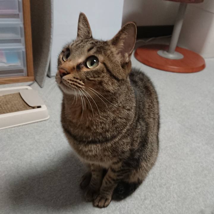 Ab37ee38 38d4 4b5d 92d1 7882d33a5db7 1515783128566