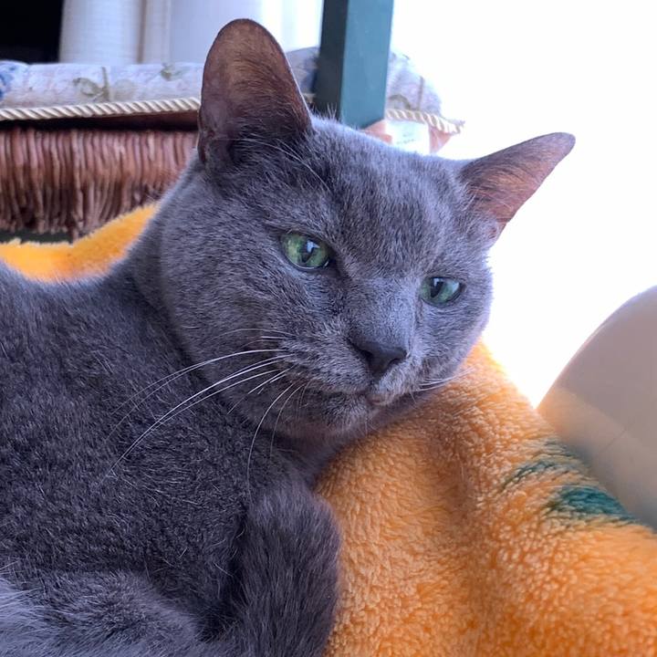 Ab37f12c 0b21 41a7 a246 0e9ddbfb664a 1653294902338