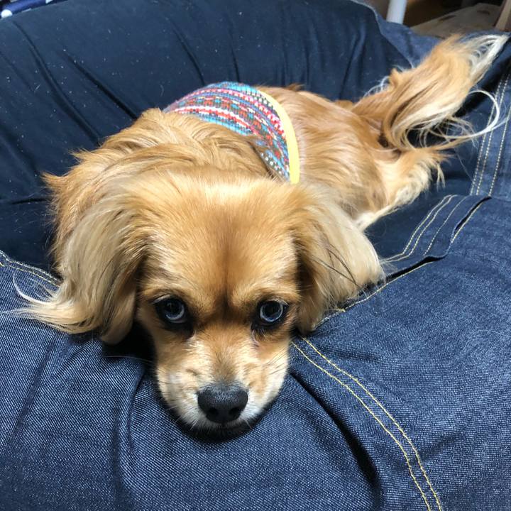 Ab37f384 2ddb 4a61 be23 2f74ee175366 1549498083031