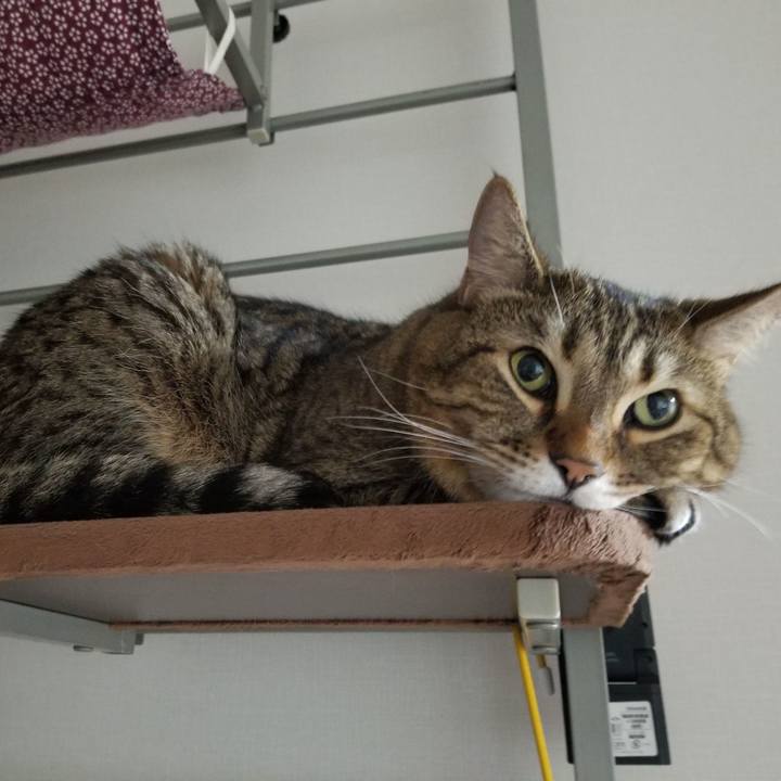 Ab37fef8 cded 449d 8ad0 951800dff4e9 1608155265089