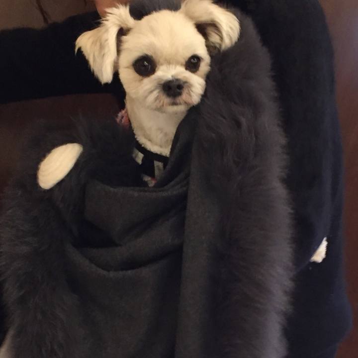 Ab380420 cff2 421b 8880 5915c33c12d3 1517568580003