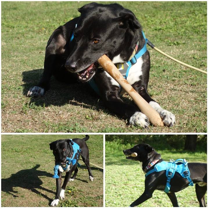 Ab38797e b7b6 42aa be19 14f24e24a374 1618015231354