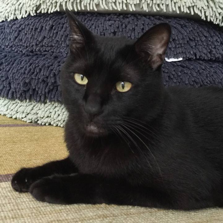 Ab388578 3c46 4e1e a552 1ac1feaf007d 1535848173854