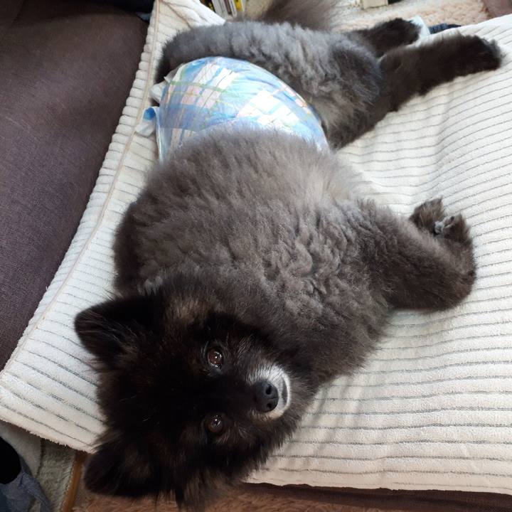 Ab38cde1 f6de 432c 98b6 aa411c5fe3ea 1542669911326