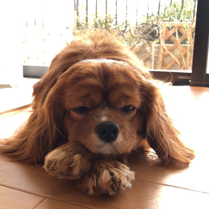 Ab38cded 0be5 4794 a2f8 97787f554b36 1613179176173