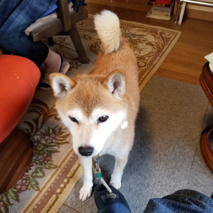 Ab38eeda 9451 4126 8630 210019b5d906 1563866048579