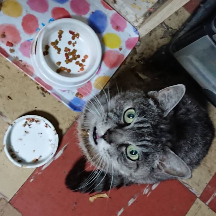 Ab3932fe df19 4e38 a3f5 df158c596822 1574113761941