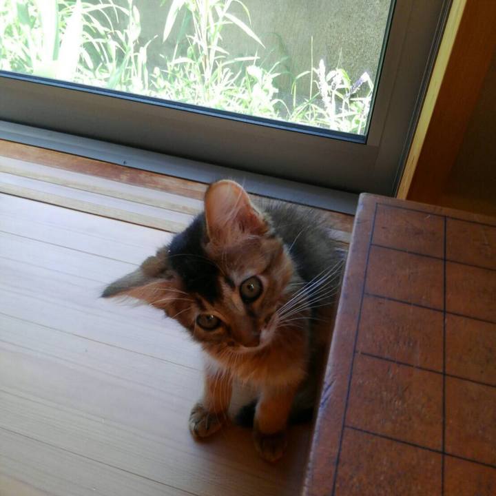 Ab3937c1 19d4 4140 bab4 99f127c9dcc6 1574511432270