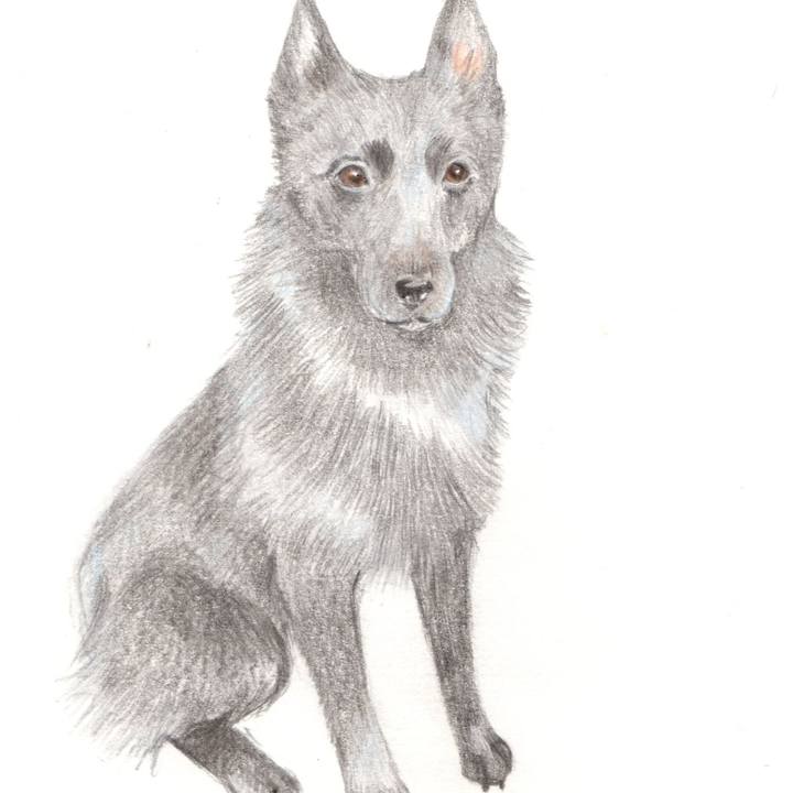 Ab395afc 4b67 4674 a640 ef4223722c44 1608644308204