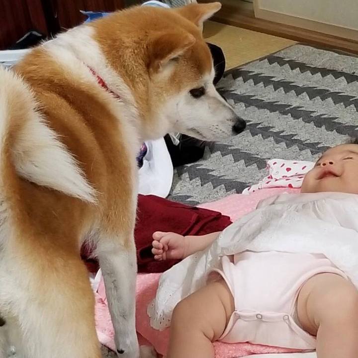 Ab396d5e ebd6 4be9 b0c0 5427dbebf057 1528587591055