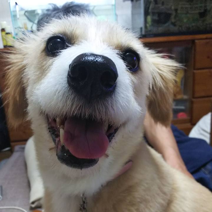 Ab3994ba c6df 4f64 a0d1 243e8b7cebbd 1535710214600