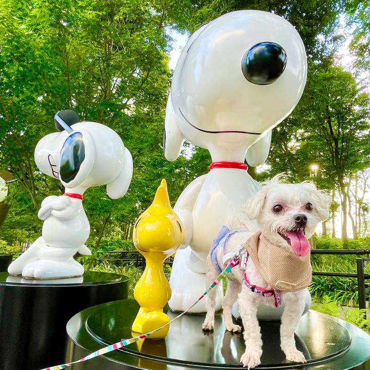 Ab3998cd 59af 4d59 b306 ee2f37f36892 1627270909092