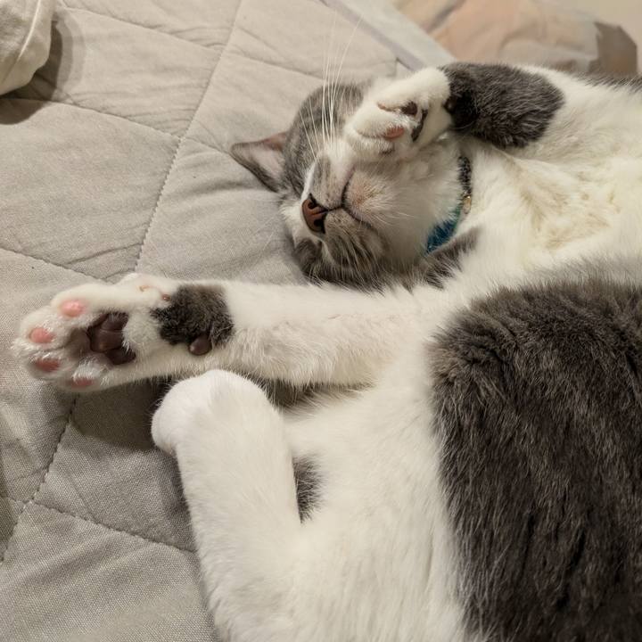 Ab39bb28 9556 47c9 9ffe 1a4b42bbc75d 1728464920726