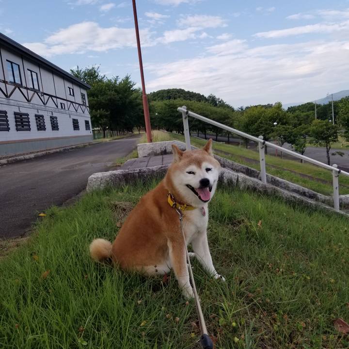 Ab3a2922 4eda 40cd bc04 4fee8097c1e4 1692172031138