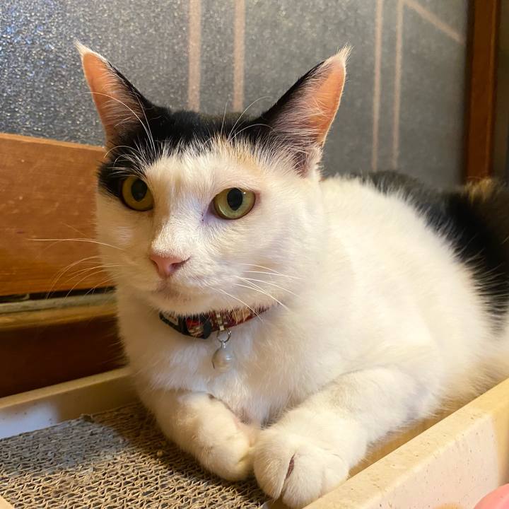 Ab3a442c b815 45e0 a020 3417028ae318 1659991699855