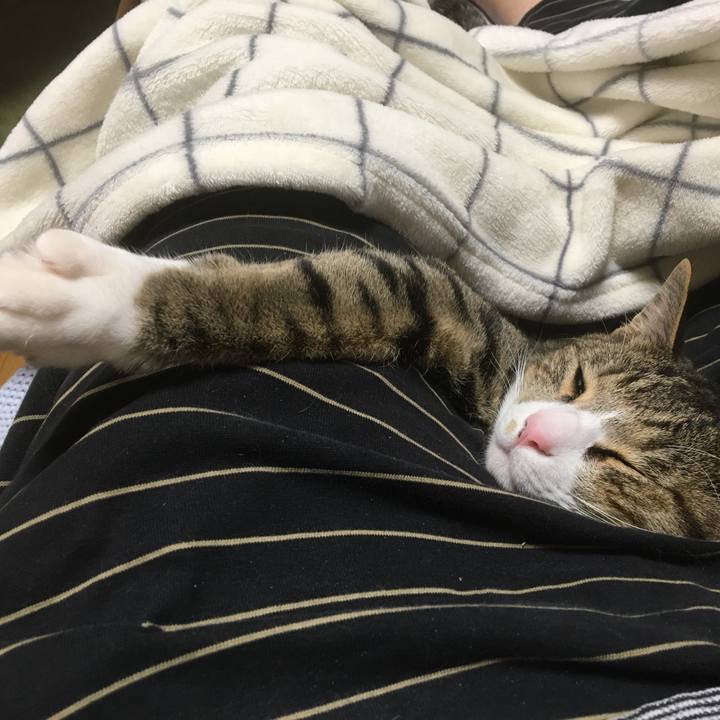 Ab3a45a6 13be 406e 9e86 9e2da5b7f544 1709945872998