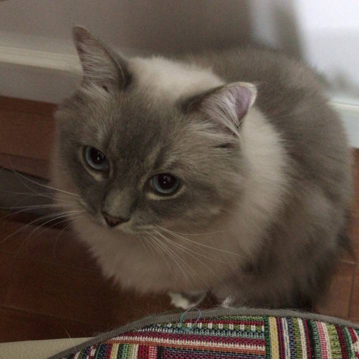 Ab3a52fd d331 413a 8d05 5e7a7e5ad582 1508504775575