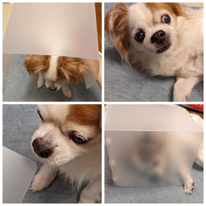 Ab3a8ed1 19c7 4b80 b849 7c4ba0cc96a0 1656199930556