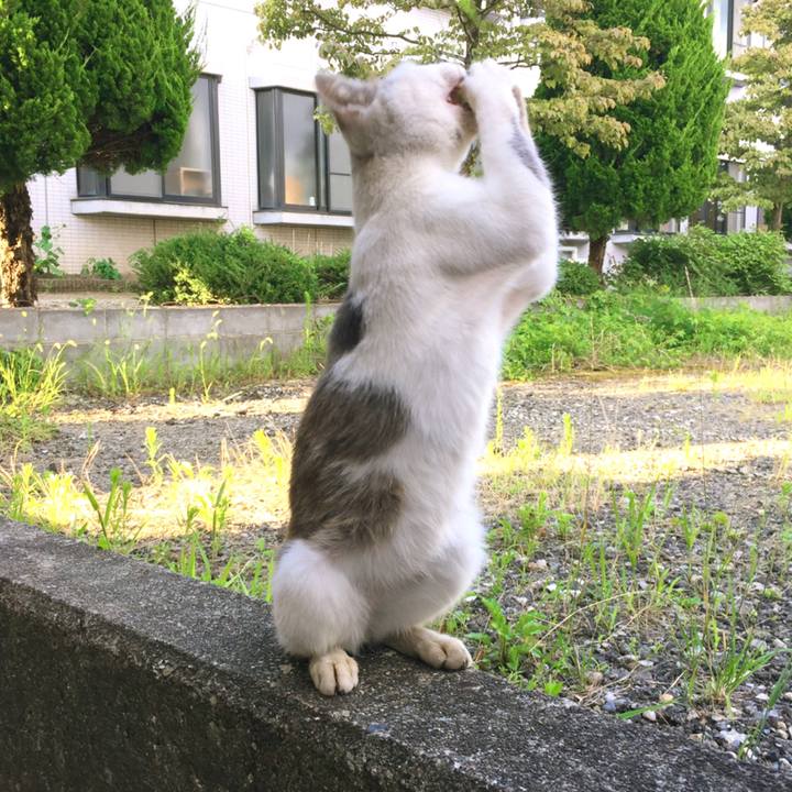 Ab3ab812 ad33 4230 a45a bc14f0888243 1528204054808