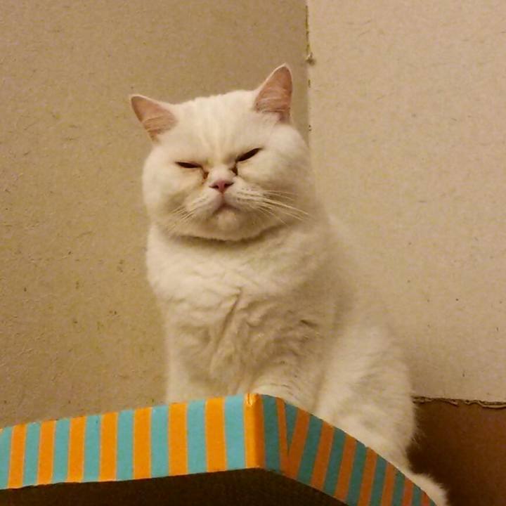 Ab3af6f9 c9b5 4230 b0e9 4859335584a8 1511478745167