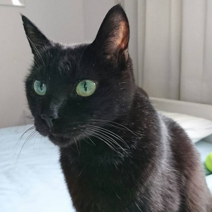 Ab3afa81 9f0f 4bed 9b6a 9f48d464a85c 1507883165280