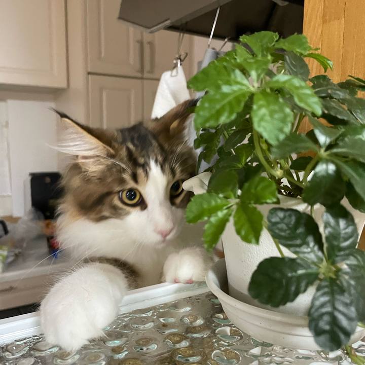 Ab3b0010 d48c 45af b005 91450f28f99c 1639400356969