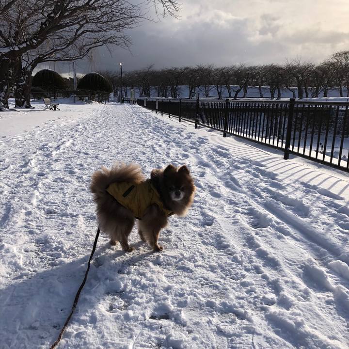 Ab3b3093 6146 4414 bf13 bf692b621d6d 1642049874892