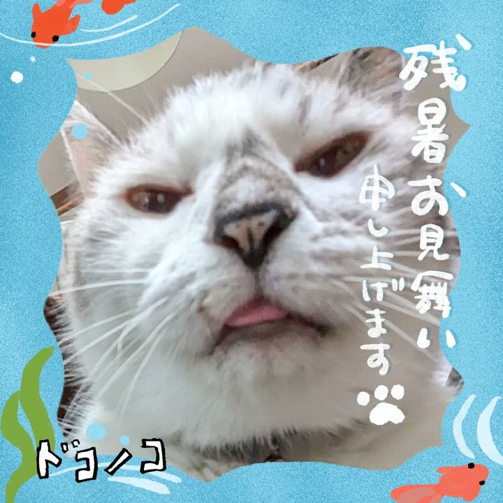 Ab3b4eb0 3921 48f0 958d 46369945a178 1723184182560