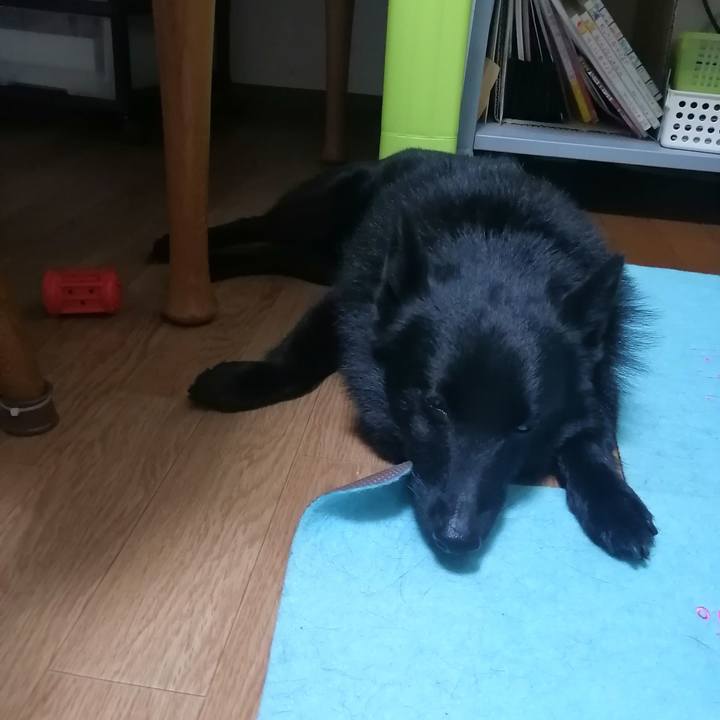 Ab3b5dcc ef2a 4d6c beb8 e10edd6cbd6b 1625694681150