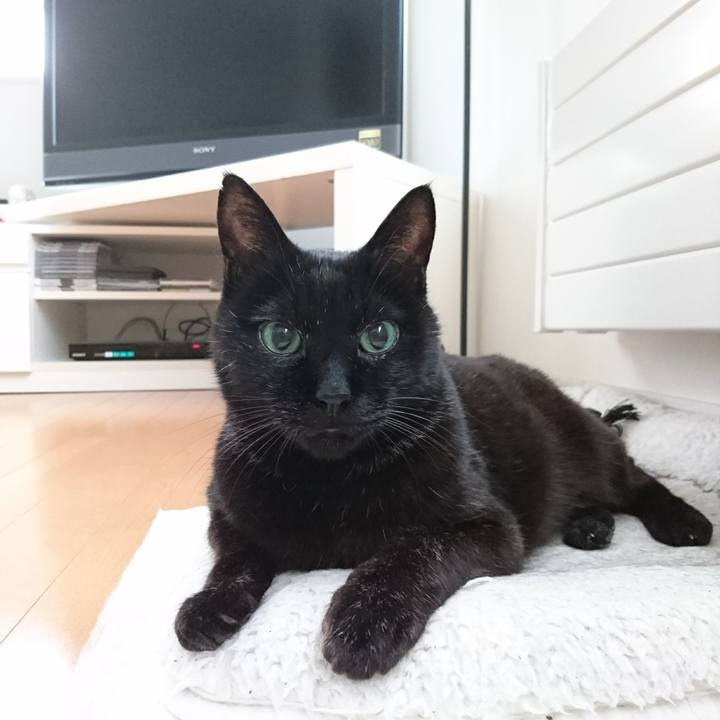 Ab3badc4 a85b 477a 8761 8e2e5018e76d 1582237513651