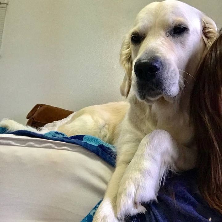 Ab3bb529 4ea3 493f af83 b53ba937ea17 1549090180205