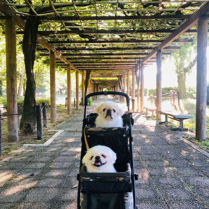 Ab3bb5e3 8539 43d5 84af b02448a1c588 1632009606328