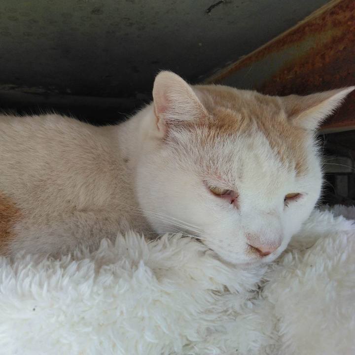 Ab3bcd65 d0f8 440e 915f 9a53e245706f 1678177128488