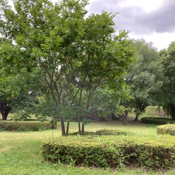 Ab3bf89c 73e2 4720 b85a 86d05075670d 1687235508669