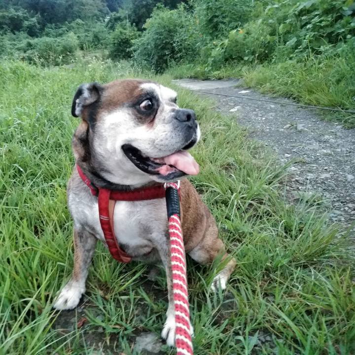 Ab3c1642 88e8 45b9 a36b 463c3df68fae 1566573252777