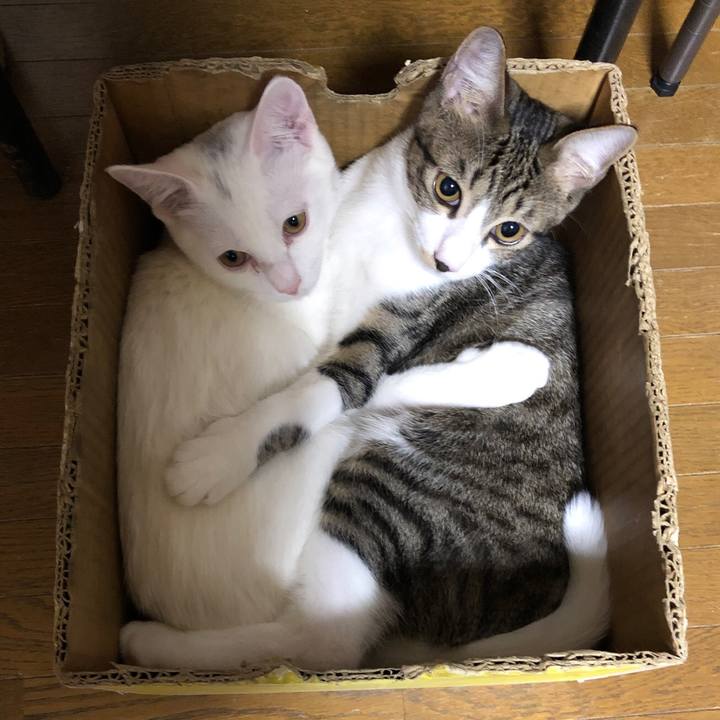 Ab3c3870 0c30 49cb b39d 96d6024d60a4 1568120615430